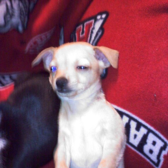 Meet your Posher, Kevin - Picture 1 of 1